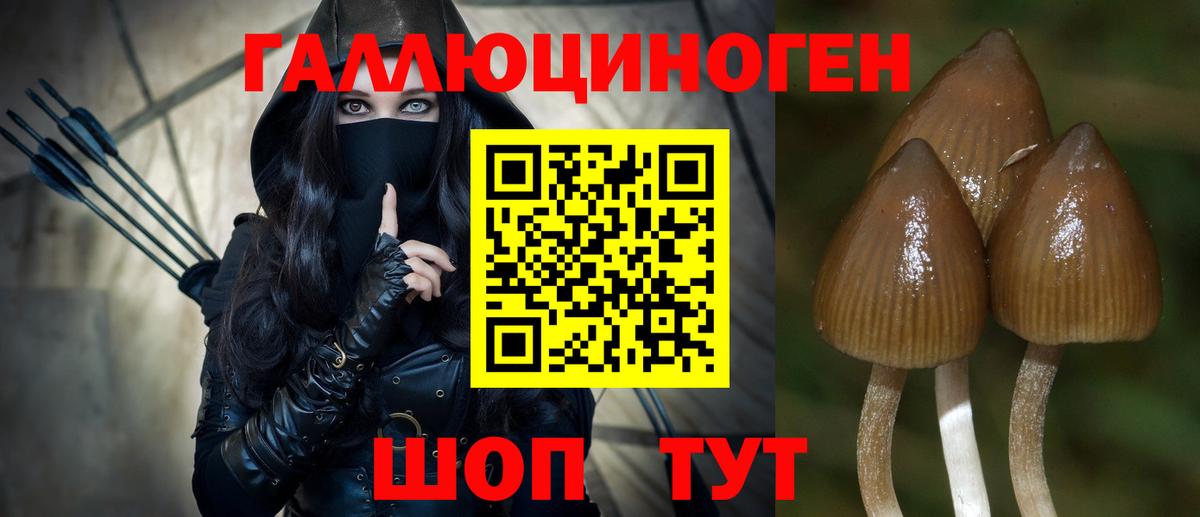 Петрозаводск  Псилоцибиновые грибы Psilocybine cubensis  Вход с VPN  Галлюциногенные грибы Psilocybine cubensis 